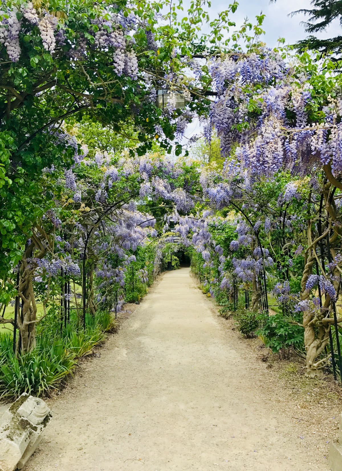 Garden Design
